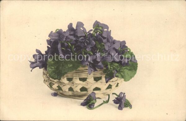 Blumen Korb
