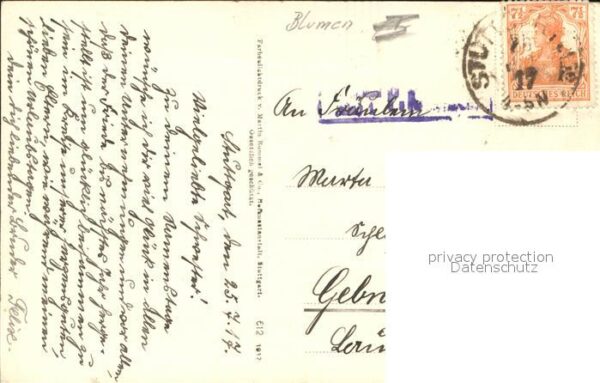Rosen – Bild 2