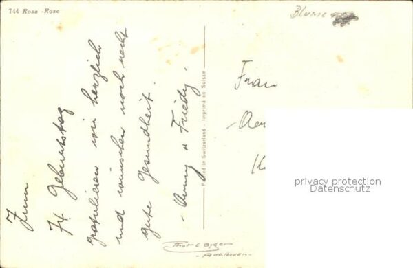 Rosen – Bild 2