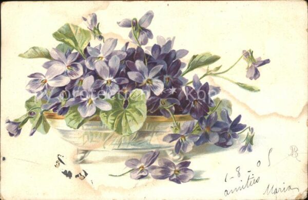 Blumen