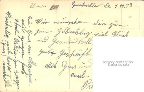 Hufeisen Rosen – Bild 2