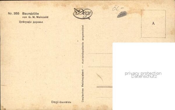 Kuenstlerkarte Baumblüte G. M. Meinzold – Bild 2