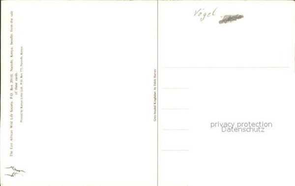 Voegel – Bild 2
