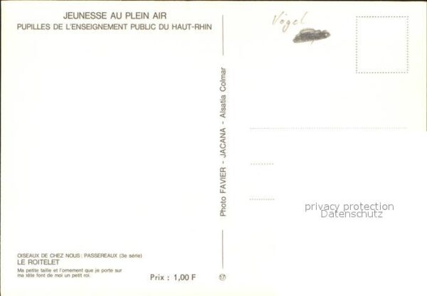 Voegel Le Roitelet – Bild 2