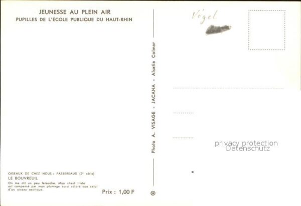 Voegel Le Bouvreuil – Bild 2