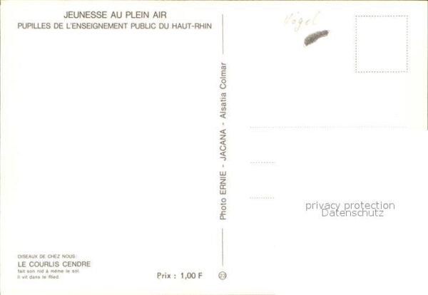 Kuenstlerkarte Le Courlis Cendre – Bild 2