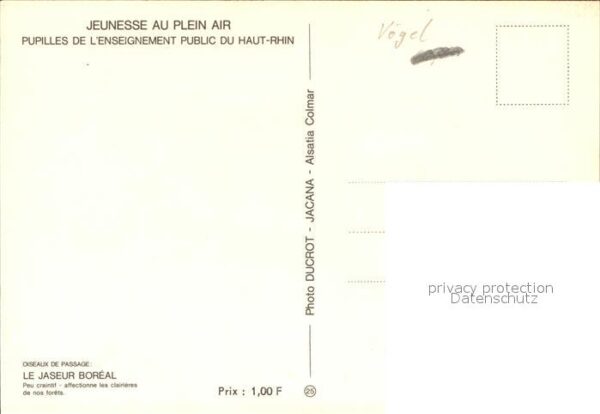 Voegel LE Jaseur Boreal – Bild 2