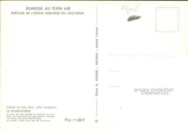 Voegel Le Rouge-Corge – Bild 2