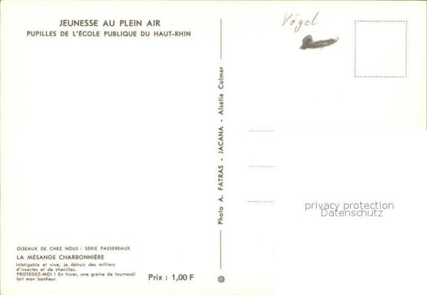 Voegel La Mesange Charbonniere – Bild 2