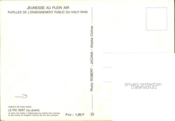 Voegel Le Pic Vert – Bild 2