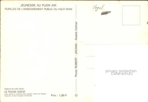 Voegel Le Rouge-Queue – Bild 2