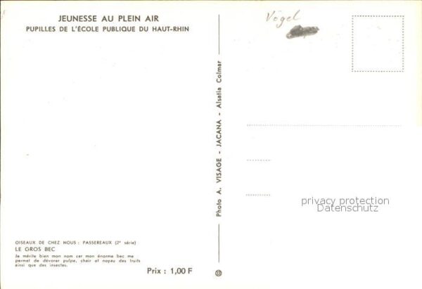 Voegel Le Gros Bec – Bild 2