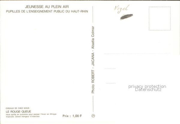 Voegel Le Rouge-Queue – Bild 2