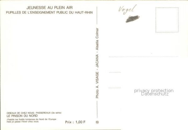 Voegel Le Pinson du Nord – Bild 2