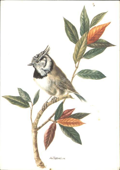 Kuenstlerkarte Vogel