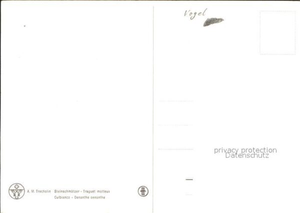 Voegel Künstlerkarte – Bild 2