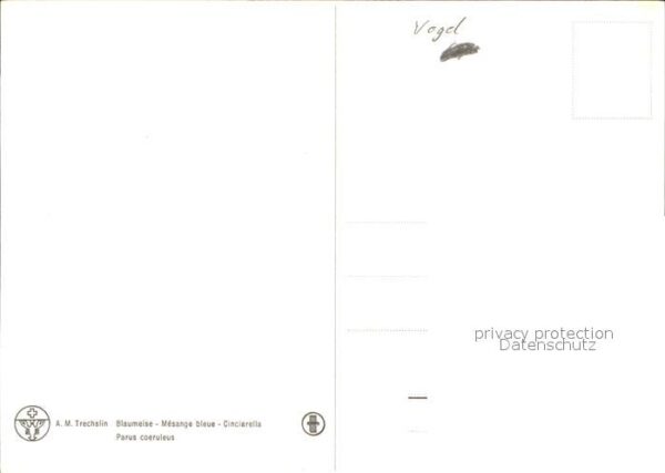 Kuenstlerkarte Vogel – Bild 2