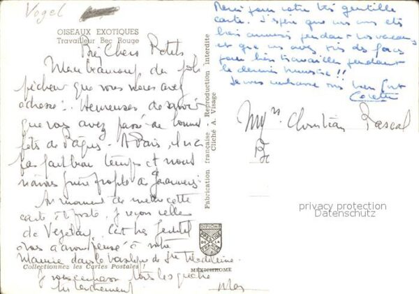 Voegel Oiseux Exotiques – Bild 2