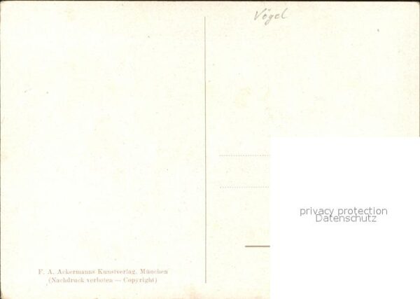Kuenstlerkarte F. Murr Vögel Dompfaffen – Bild 2