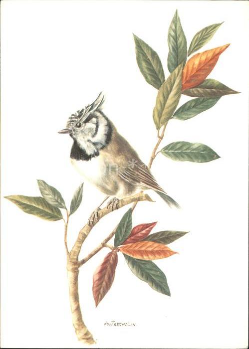 Kuenstlerkarte Vogel