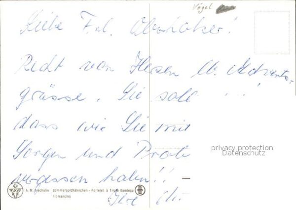 Kuenstlerkarte Vogel – Bild 2