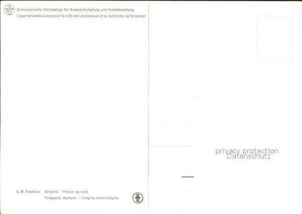 Kuenstlerkarte Vogel – Bild 2