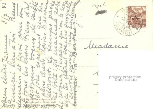 Kuenstlerkarte Vogel – Bild 2