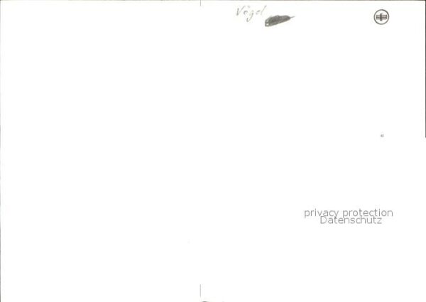 Kuenstlerkarte Vogel – Bild 2