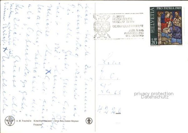 Voegel Kirschkernbeisser – Bild 2