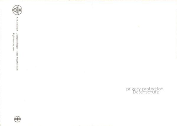 Voegel Künstlerkarte – Bild 2