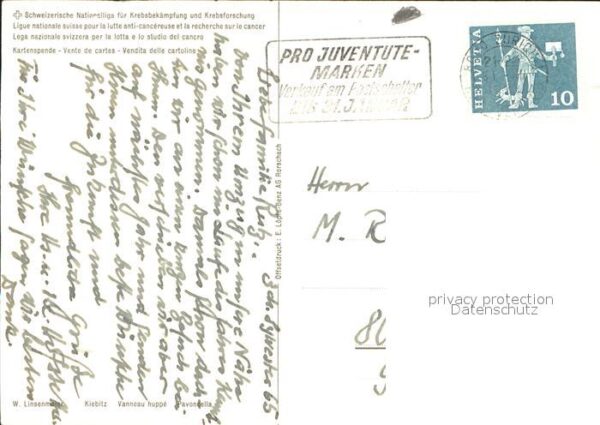 Voegel Kiebitz – Bild 2