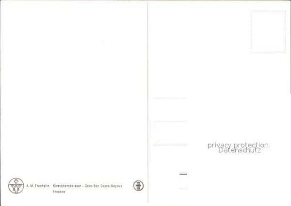 Voegel Kirschkernbeisser – Bild 2