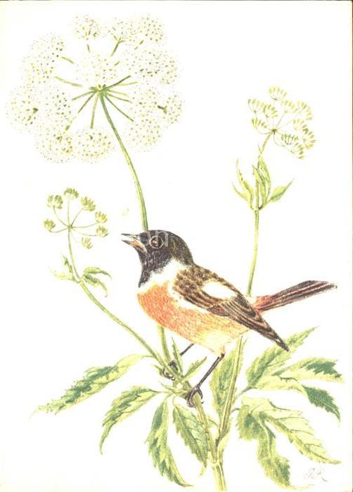 Voegel Schwarzkelchen