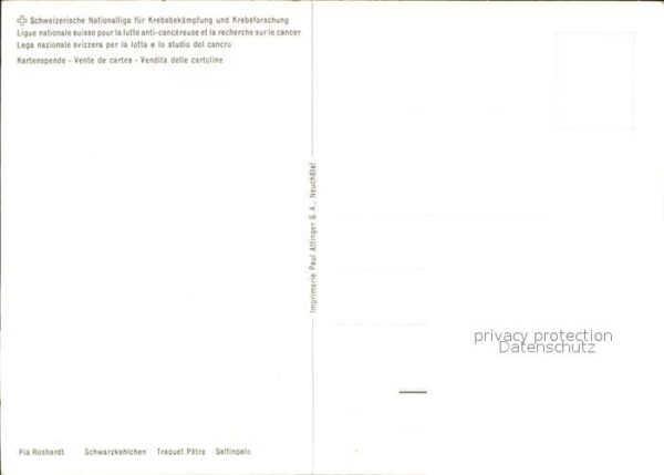 Voegel Schwarzkelchen – Bild 2
