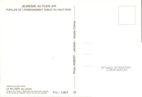 Voegel Le Pic Vert – Bild 2
