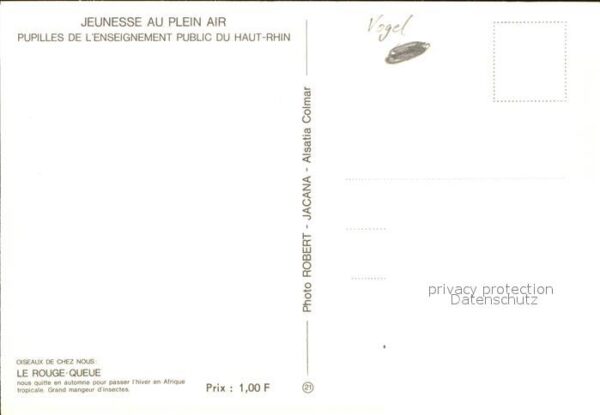 Voegel Le Rouge Queue – Bild 2