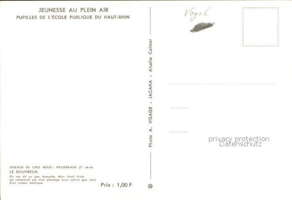 Voegel Le Bouvreuil – Bild 2