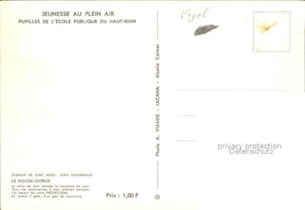 Voegel Le Rouge-Gorge – Bild 2