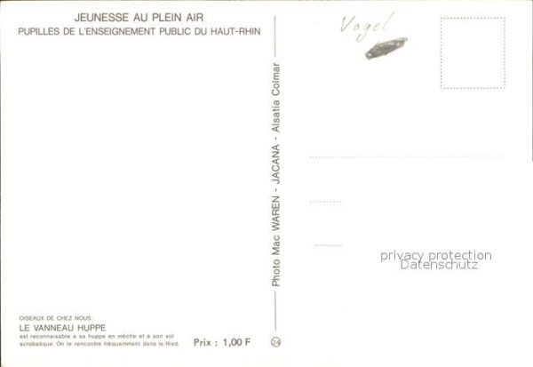 Voegel LE Vanneau Huppe – Bild 2