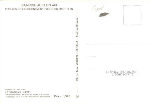 Voegel Le Vanneau Huppe – Bild 2
