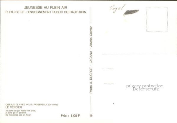 Voegel Le Verdier – Bild 2