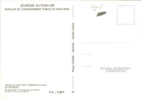 Voegel Le Roitelet – Bild 2