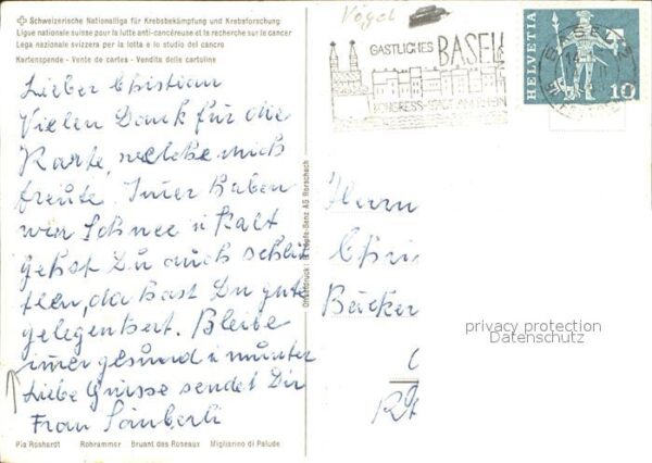 Voegel Rohrammer – Bild 2