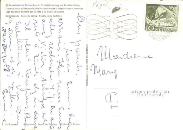 Kuenstlerkarte Rohrammer – Bild 2