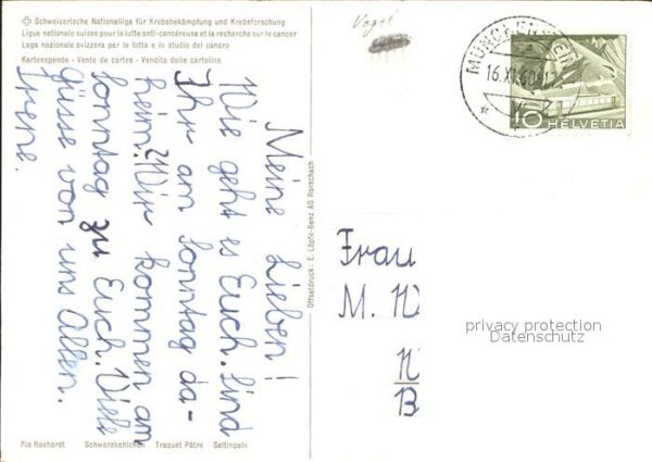 Voegel Schwarzkehlchen – Bild 2