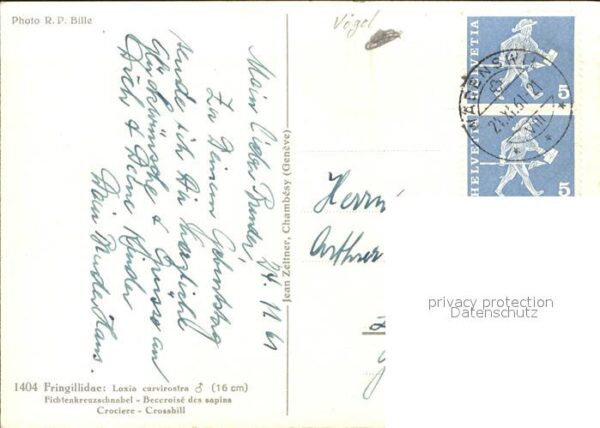 Voegel Fichtenkreuzschnabel – Bild 2