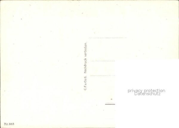 Rosen Korb Zeichnung – Bild 2