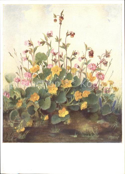 Kuenstlerkarte Blumenwiese