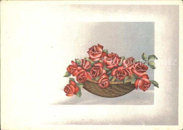 Rosen Zeichnung