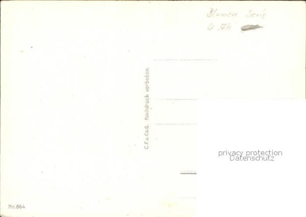 Rosen Zeichnung – Bild 2